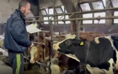 Asistenti u knjižnici SGŠ