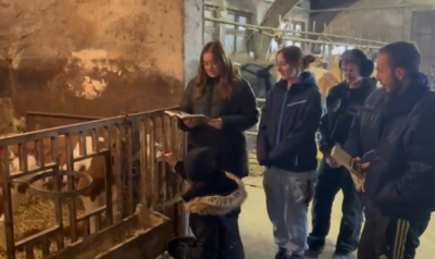 Žabe u vrhnju i 15 po 15 – cijela Hrvatska čita djeci