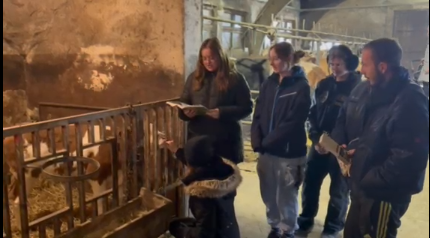 Žabe u vrhnju i 15 po 15 – cijela Hrvatska čita djeci